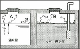 生態確認